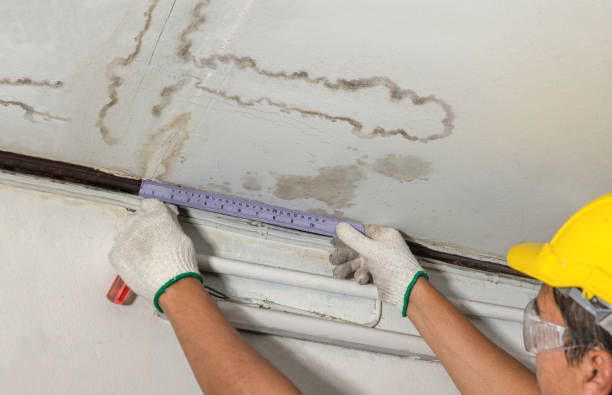 Affordable Water Damage Repair solutions in Cedar Mountain, NC